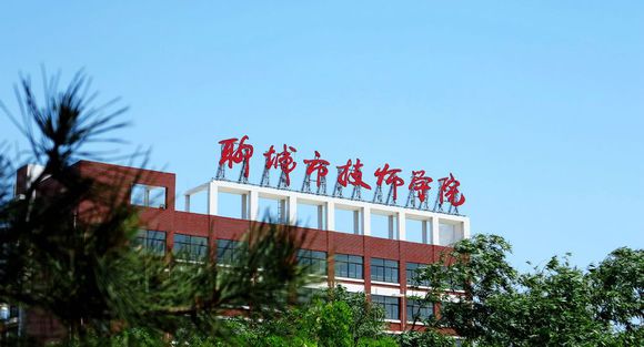 聊城市技師學院有計算機專業嗎？